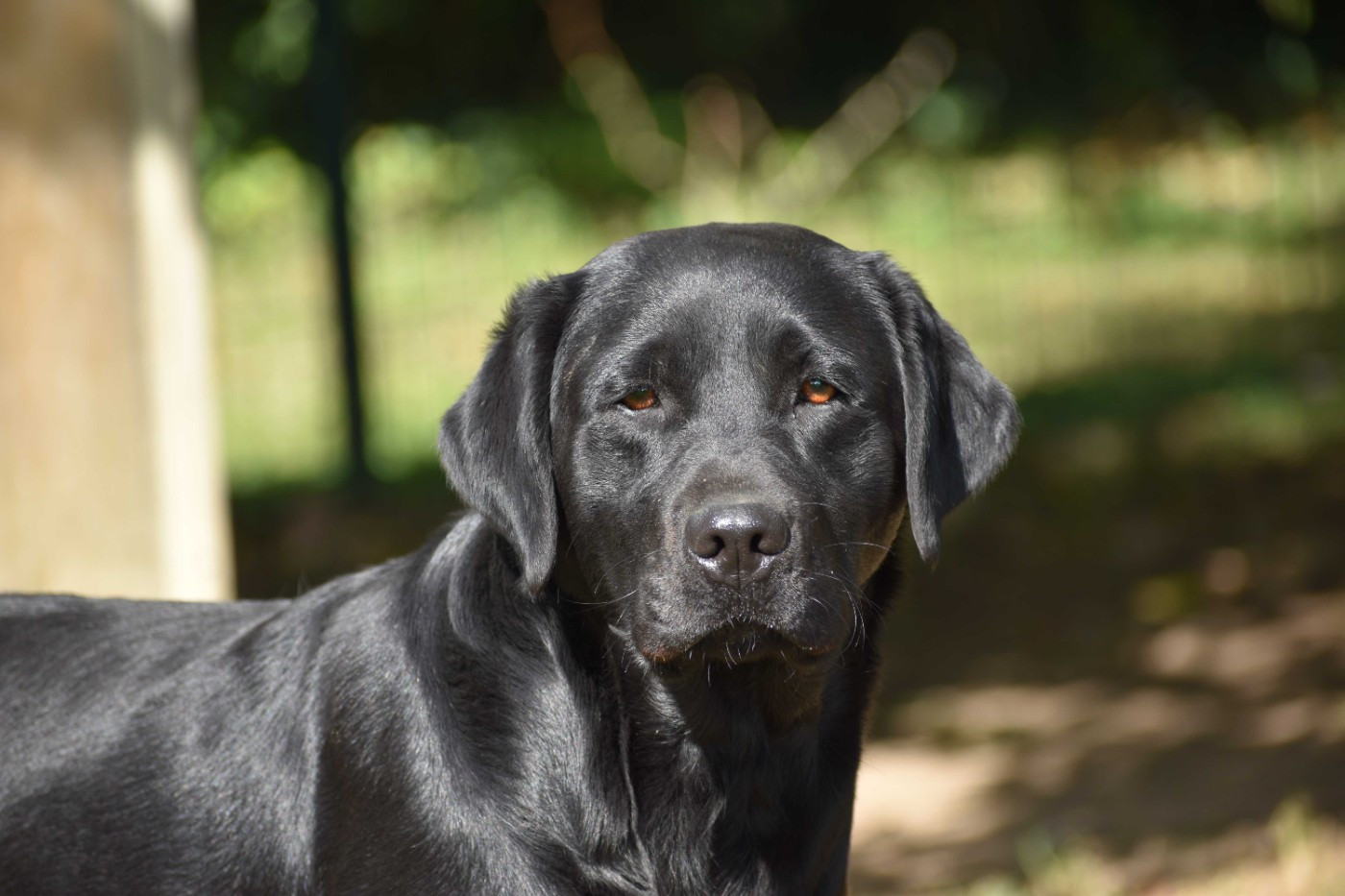 Usoa Des bories de yakoubia
