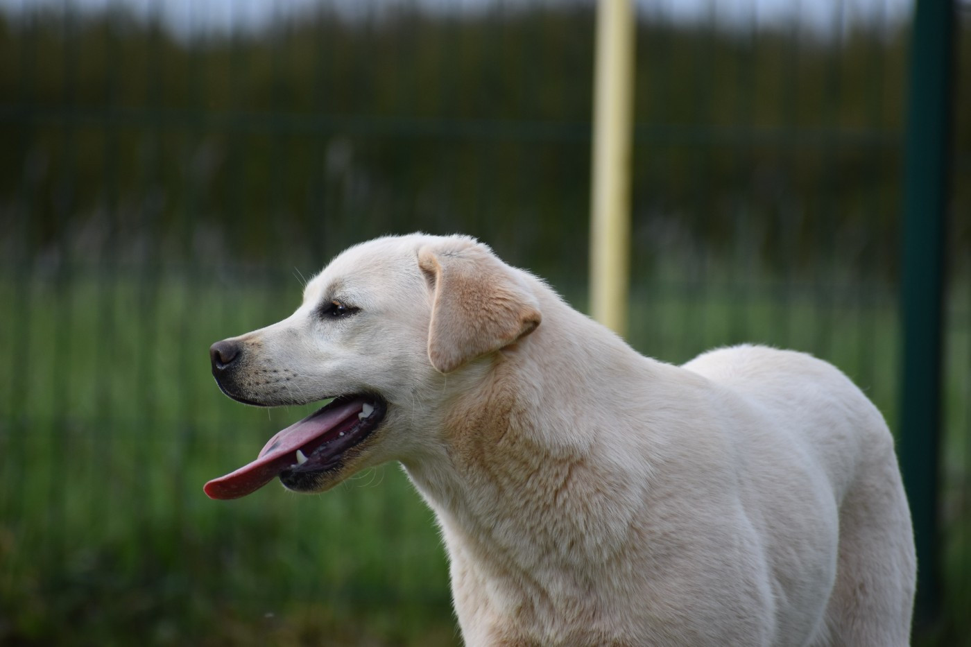 Tina Des bories de yakoubia